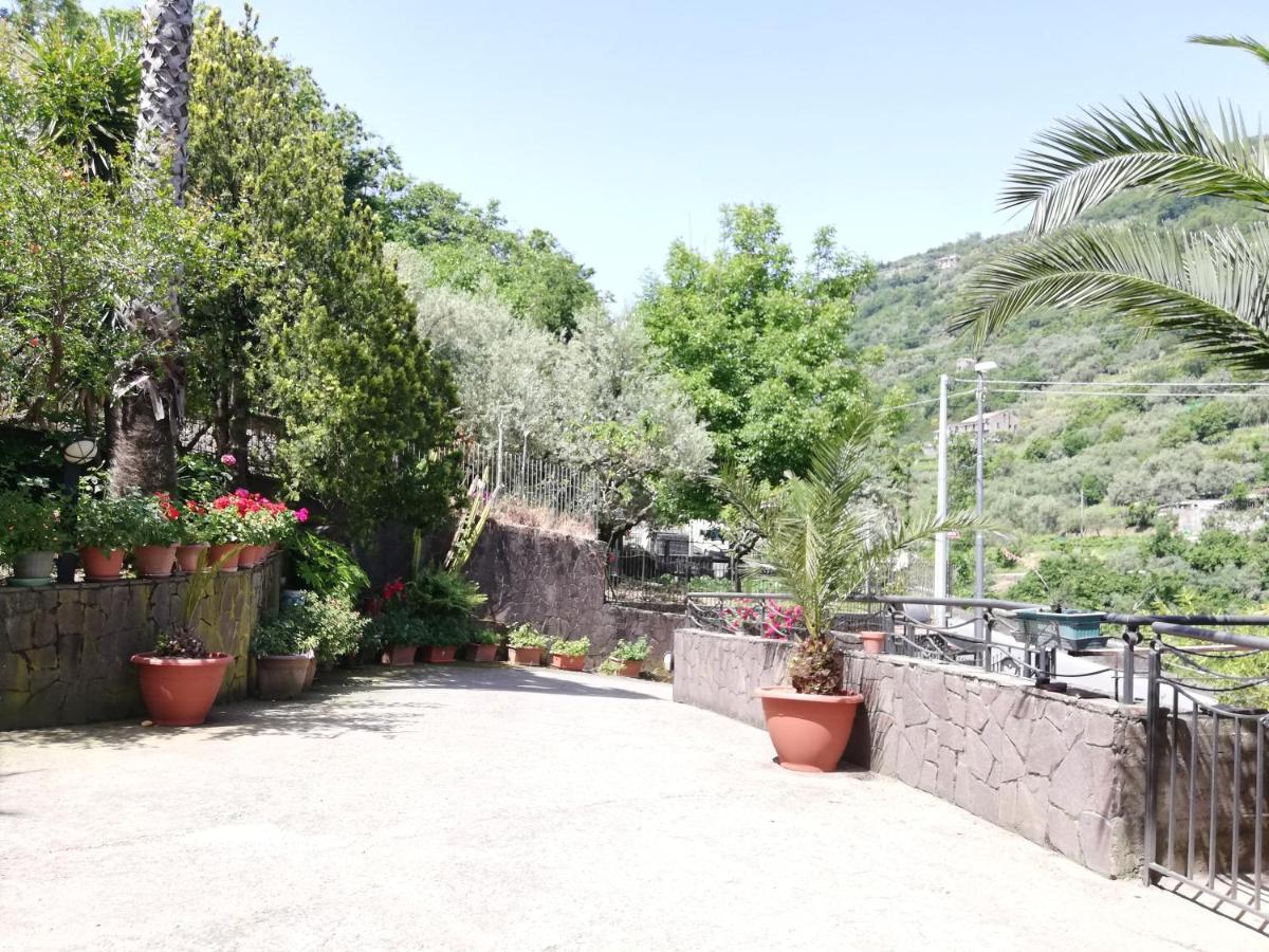 Bed and Breakfast IL GIARDINO  Pimonte Exterior foto